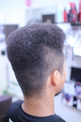 �{�b�N�X�A�t���@�֌������f�B�[�@�A�t���@�{�b�N�X�A�t��