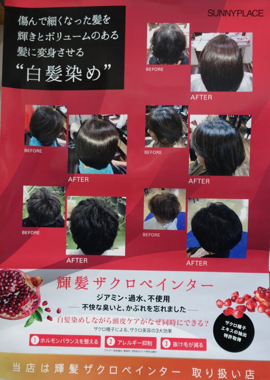 �W�A�~�����z���̃J�u���Ȃ��w�A�J���[�w�V���~�G���x�͗��E���e���Ő��߂锒�����߂ł��A���Ԃ��E�y���E�q���q������c�͑��{����s�̔��؉��s�`�j�t�ɂ��C��