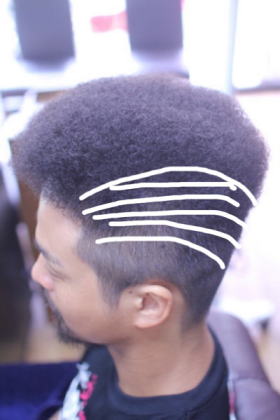 �{�b�N�X�A�t���@�֌������f�B�[�@�A�t���@�{�b�N�X�A�t��