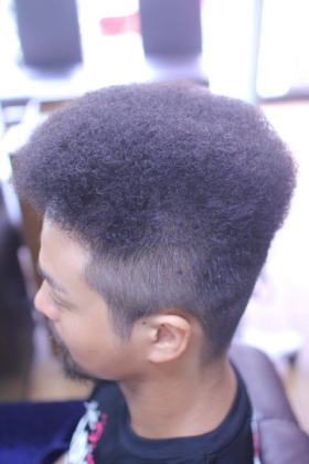 �{�b�N�X�A�t���@�֌������f�B�[�@�A�t���@�{�b�N�X�A�t��