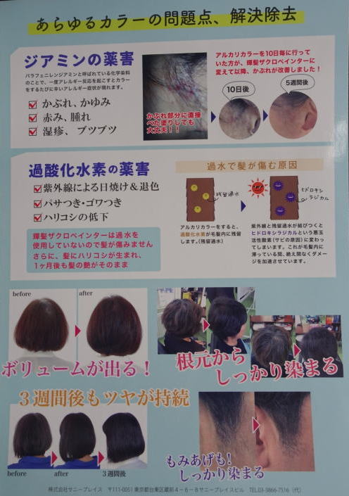 �W�A�~�����z���̃J�u���Ȃ��w�A�J���[�w�V���~�G���x�͗��E���e���Ő��߂锒�����߂ł��A���Ԃ��E�y���E�q���q������c�͑��{����s�̔��؉��s�`�j�t�ɂ��C��