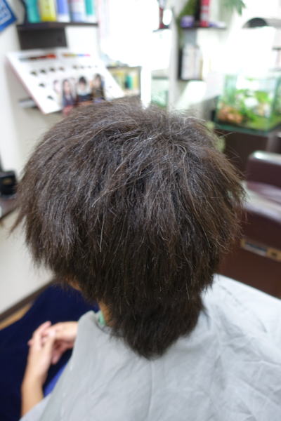 ���x���k�ы�������Ɣ����Y�݂����ɂȂ�