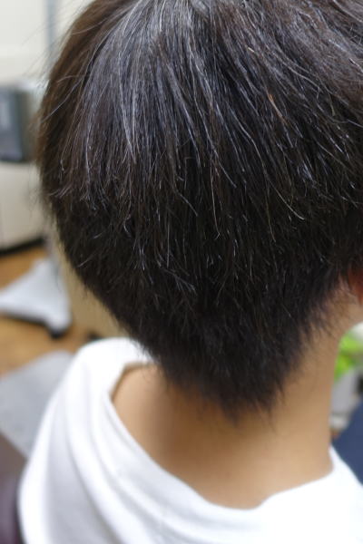 ���x���k�ы�������Ɣ����Y�݂����ɂȂ�