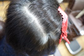 �U�N���y�C���^�[�@�J�u���@�@�w�i�@�}�j�L���A�@�V���~�G���@�W�A�~���@�ߎ_�����f�@�A���J���@���܂Ȃ��@�ɂ܂Ȃ��@�@