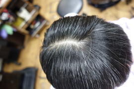 �U�N���y�C���^�[�@�J�u���@�@�w�i�@�}�j�L���A�@�V���~�G���@�W�A�~���@�ߎ_�����f�@�A���J���@���܂Ȃ��@�ɂ܂Ȃ��@�@