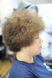 �A�t���@�A�t���w�A�@�A�t���w�A�[�@�A�t���p�[�}�@afro�@