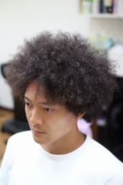 �A�t���@�A�t���w�A�@�A�t���w�A�[�@�A�t���p�[�}�@afro�@