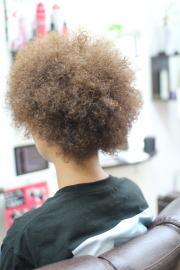 �A�t���@�A�t���w�A�@�A�t���w�A�[�@�A�t���p�[�}�@afro�@