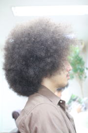 �A�t���@�A�t���w�A�@�A�t���w�A�[�@�A�t���p�[�}�@afro�@