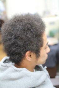 �c�C�X�g�A�t��