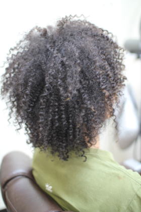 �X�p�C�����A�t��