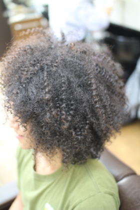 �X�p�C�����A�t��