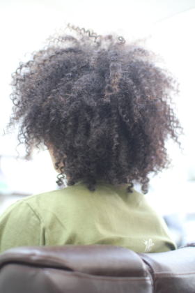 �X�p�C�����A�t��