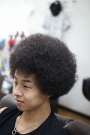 �A�t���@�A�t���w�A�@�A�t���w�A�[�@�A�t���p�[�}�@afro�@