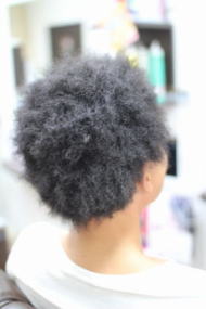 �c�C�X�g�A�t��