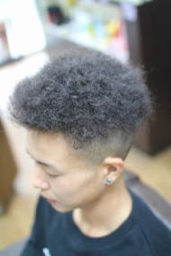 �c�C�X�g�A�t���@�A�t���c�C�X�g