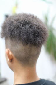 �c�C�X�g�A�t���@�A�t���c�C�X�g