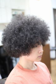 �A�t���@�A�t���w�A�@�A�t���w�A�[�@�A�t���p�[�}�@afro�@