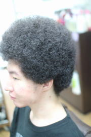 �A�t���@�A�t���w�A�@�A�t���w�A�[�@�A�t���p�[�}�@afro�@