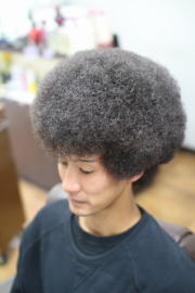 �A�t���@�A�t���w�A�@�A�t���w�A�[�@�A�t���p�[�}�@afro�@