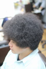 �A�t���@�A�t���w�A�@�A�t���w�A�[�@�A�t���p�[�}�@afro�@