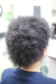 �c�C�X�g�p�[�}�@�c�C�X�g�A�t���@�A�t���@�A�t���w�A�@�A�t���p�[�}�@