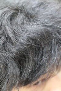 �����@�k�ы���