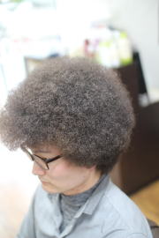 �A�t���@�A�t���w�A�@�A�t���w�A�[�@�A�t���p�[�}�@afro�@