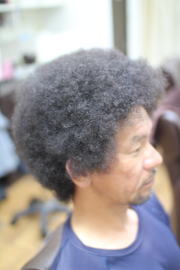 �A�t���@�A�t���w�A�@�A�t���w�A�[�@�A�t���p�[�}�@afro�@