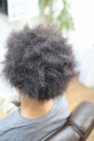 �c�C�X�g�A�t���@�@�A�t���@�A�t���w�A�@�A�t���p�[�}�@