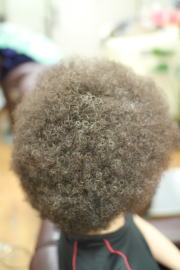 �A�t���@�A�t���w�A�@�A�t���w�A�[�@�A�t���p�[�}�@afro�@