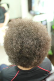 �A�t���@�A�t���w�A�@�A�t���w�A�[�@�A�t���p�[�}�@afro�@