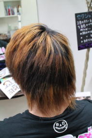 �k�ы����@�Z���@�j�@���R�@�J�b�R�C�C