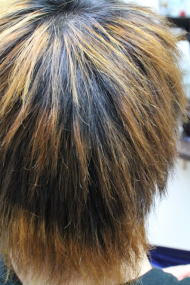 �k�ы����@�Z���@�j�@���R�@�J�b�R�C�C