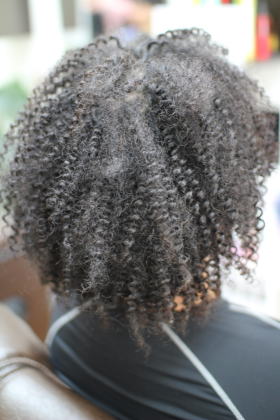 �X�p�C�����A�t��