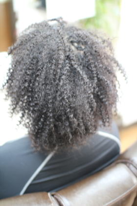 �X�p�C�����A�t��