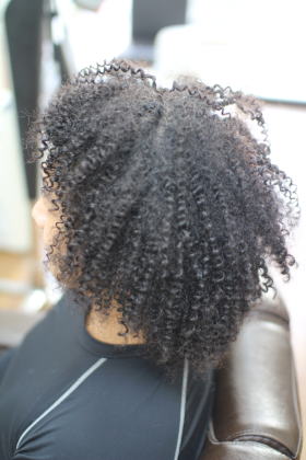 �X�p�C�����A�t��