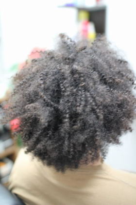 �X�p�C�����A�t��