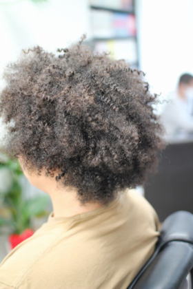 �X�p�C�����A�t��