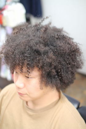 �X�p�C�����A�t��