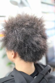 �c�C�X�g�A�t��