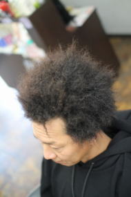 �c�C�X�g�A�t��