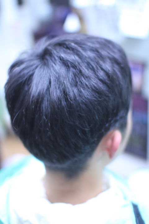 �Z���@�k�@�ȁ@���@�Ɂ@