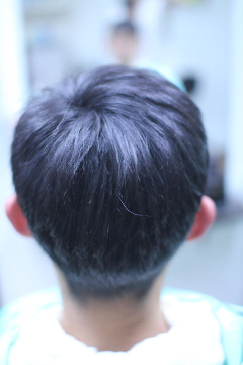 �Z���@�k�@�ȁ@���@�Ɂ@