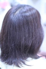 �w�i�@�n�i�w�i�@