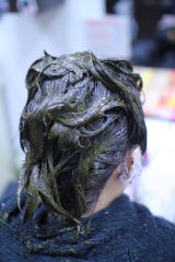 �w�i�@�n�i�w�i�@