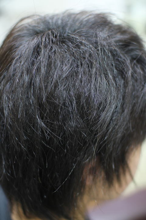 ���сE���сE���Ȃ̂S�����Ԃ�k�ы����c�j��