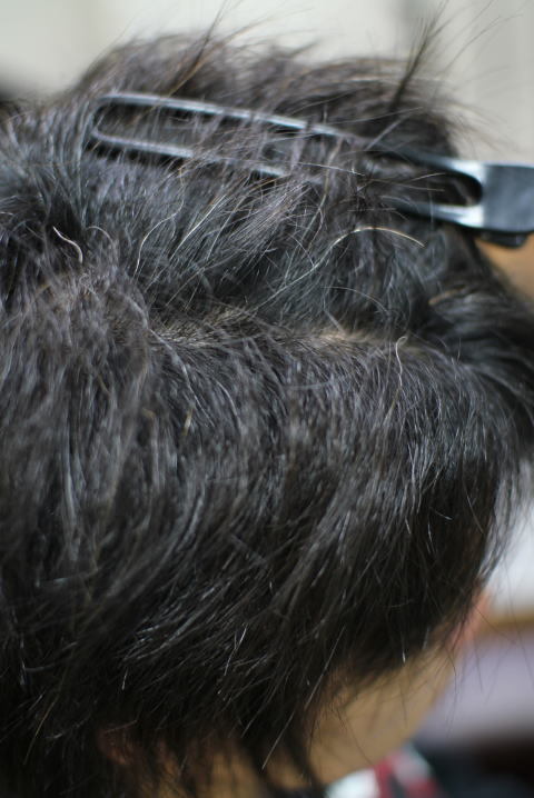 ���сE���сE���Ȃ̂S�����Ԃ�k�ы����c�j��