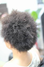 �c�C�X�g�A�t���@�A�t���@�A�t���w�A�@���ӂ�ρ[�܁@���ӂ�ւ��[�@ahuro afro