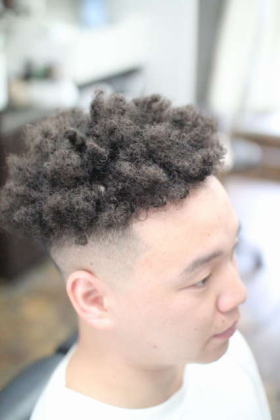 �{���T���[�m�p�[�}�@�{���T���[�m�A�t���@�{���T���[�m�w�A